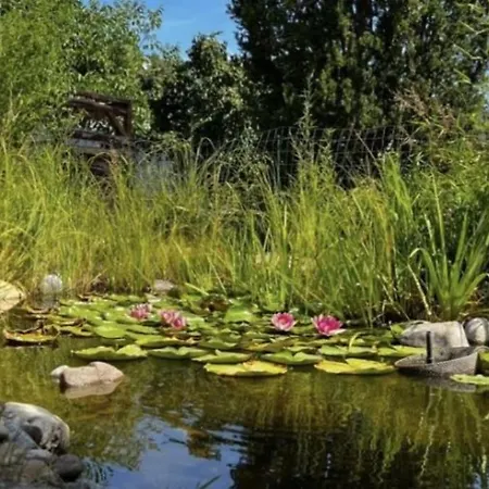 Vakantiehuis Modernes Sauerblick *