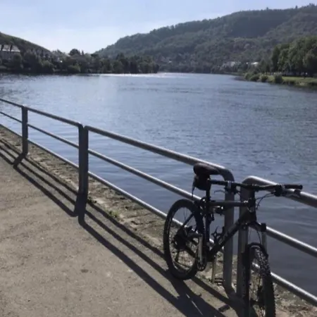 Modernes Sauerblick *