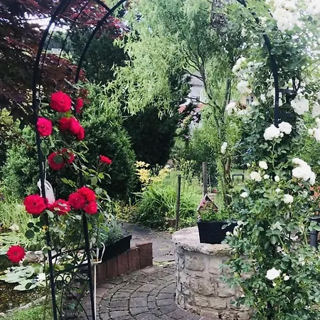 Modernes Sauerblick * Langsur