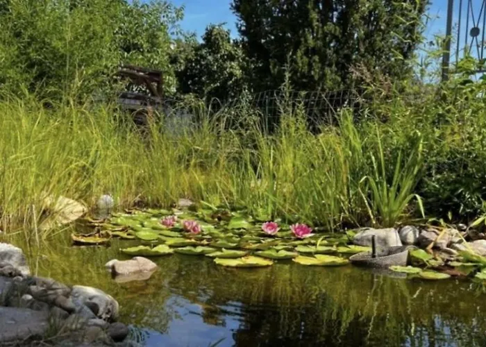 Nyaraló Modernes Sauerblick *