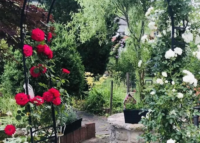 Modernes Sauerblick * Langsur