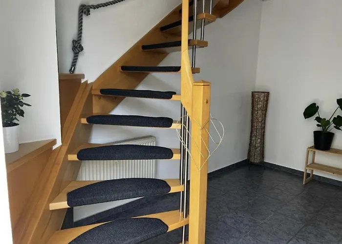 Modernes Sauerblick * Langsur